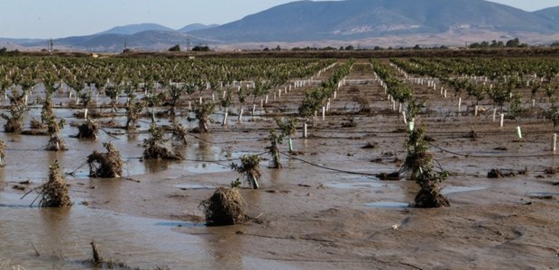 Αποζημιώσεις 12 εκατ. ευρώ για πλημμυρισμένα χωράφια 